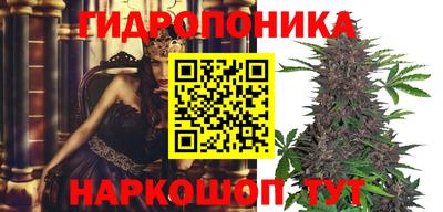 крисы Заволжье
